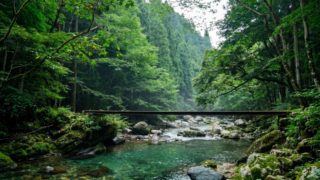 緑の森と渓流にかかる橋の風景